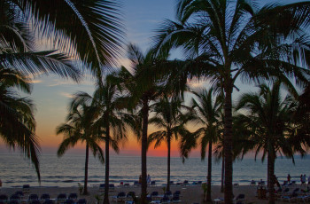 Картинка природа тропики пальмы пляж океан