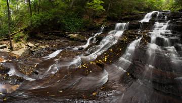 Картинка природа водопады водопад река лес