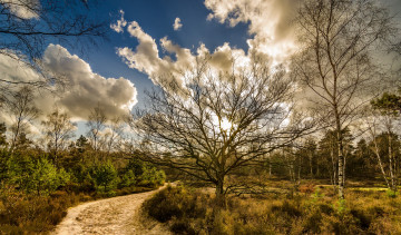 Картинка природа дороги облака тропинка лес