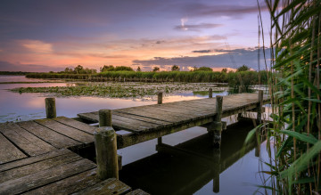 Картинка природа реки озера лес мостик озеро