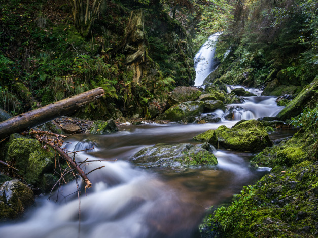 Обои картинки фото природа, водопады, лес, водопад, река