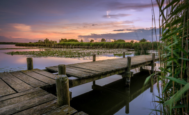 Обои картинки фото природа, реки, озера, лес, мостик, озеро