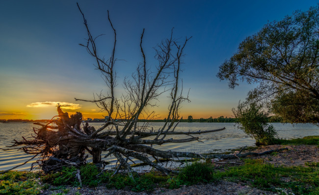 Обои картинки фото природа, реки, озера, река, заря, коряга