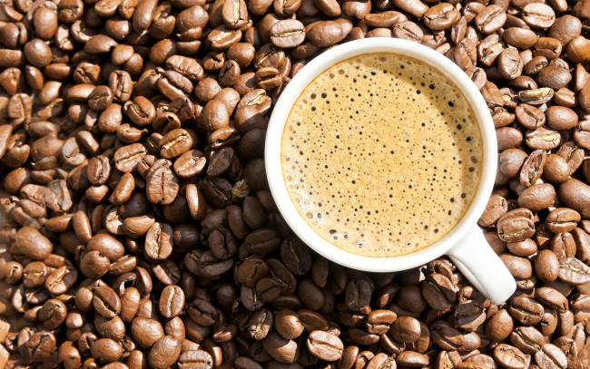 Обои картинки фото еда, кофе,  кофейные зёрна, зерна, чашка