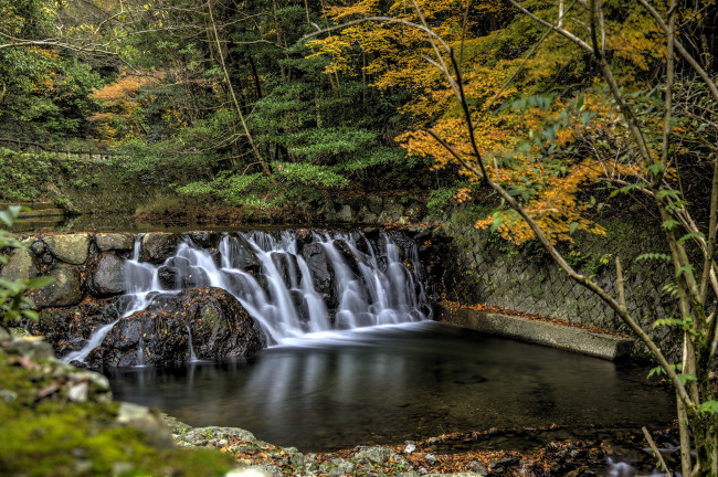 Обои картинки фото природа, водопады, водопад, река, лес