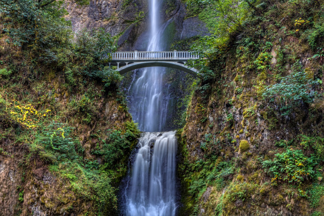 Обои картинки фото природа, водопады, водопад, река, лес