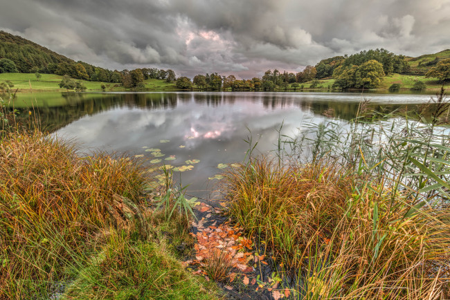 Обои картинки фото природа, реки, озера, река, лес, осень