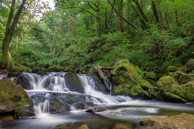 Обои картинки фото природа, водопады, водопад, лес, река