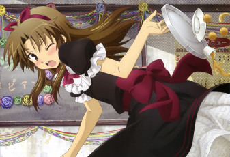 Картинка аниме baka+to+test+to+shoukanjuu фон взгляд девушки