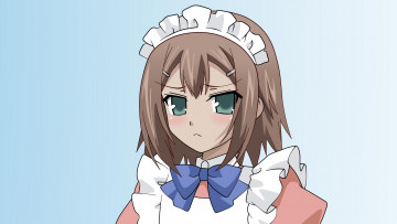 Картинка аниме baka+to+test+to+shoukanjuu фон взгляд девушка