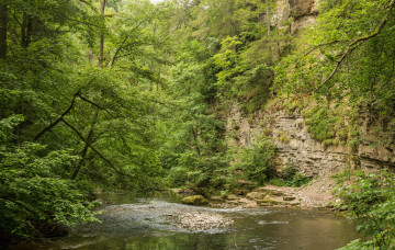 Картинка природа реки озера река лес