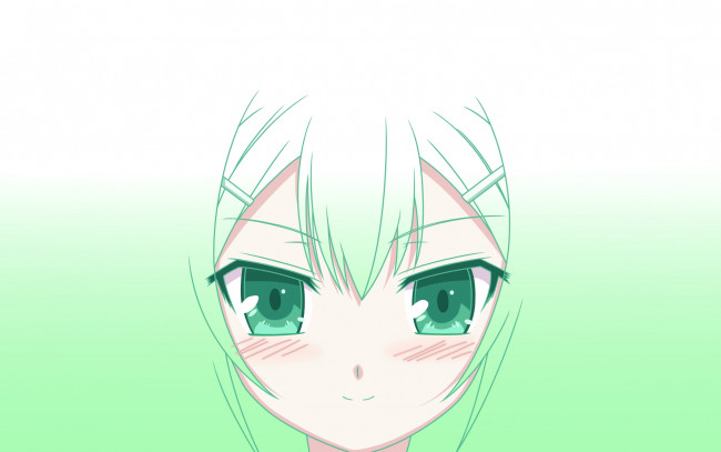 Обои картинки фото аниме, baka to test to shoukanjuu, фон, взгляд, девушка