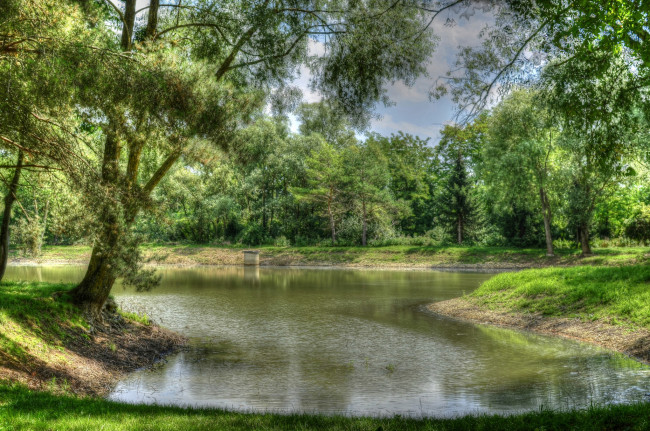 Обои картинки фото природа, реки, озера, река, лес