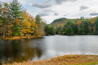 Картинка природа реки озера простор