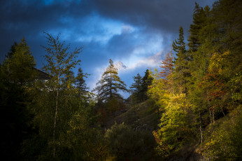 Картинка природа простор