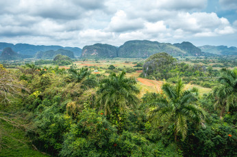 Картинка природа тропики простор