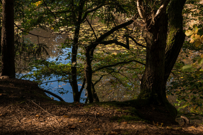 Обои картинки фото природа, реки, озера, простор