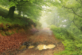 Картинка природа дороги простор