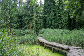 Картинка природа реки озера простор