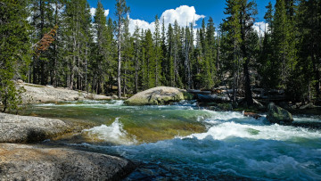 Картинка природа реки озера простор