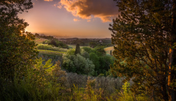 Картинка природа пейзажи простор