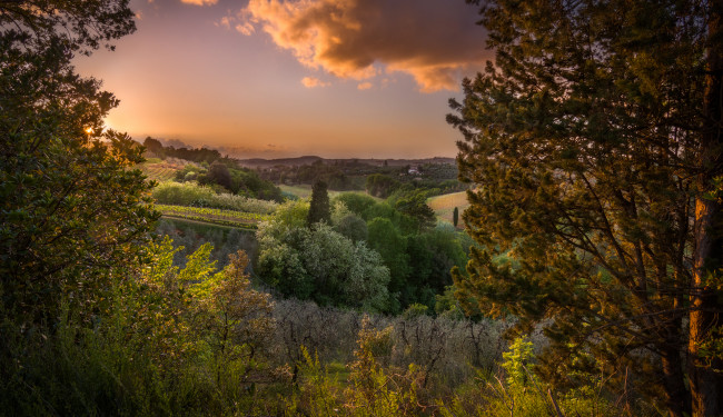 Обои картинки фото природа, пейзажи, простор