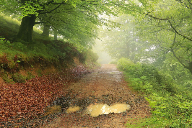 Обои картинки фото природа, дороги, простор