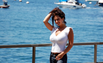 Картинка девушки denise+milani шатенка топ джинсы ограда море