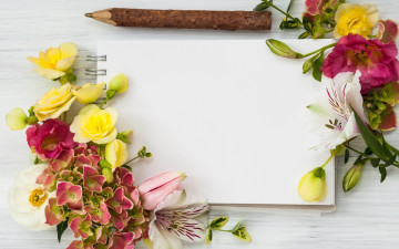 Картинка цветы разные+вместе бегония гортензия альстромерия