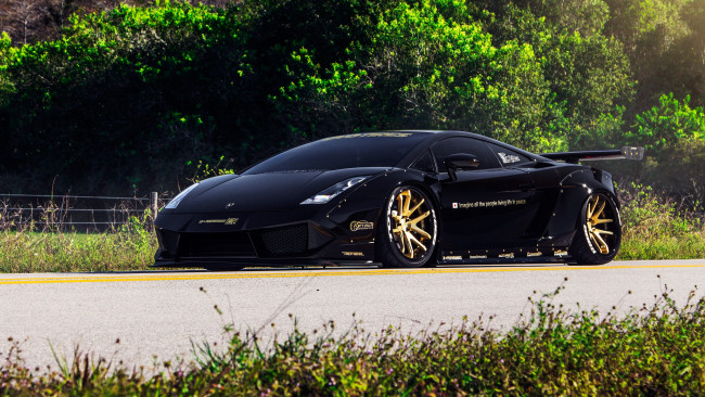 Обои картинки фото автомобили, lamborghini, gallardo