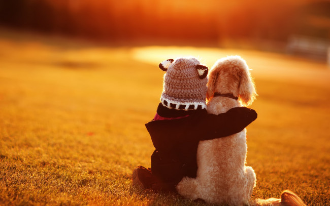 Обои картинки фото разное, дети, ребенок, шапка, собака, лужайка