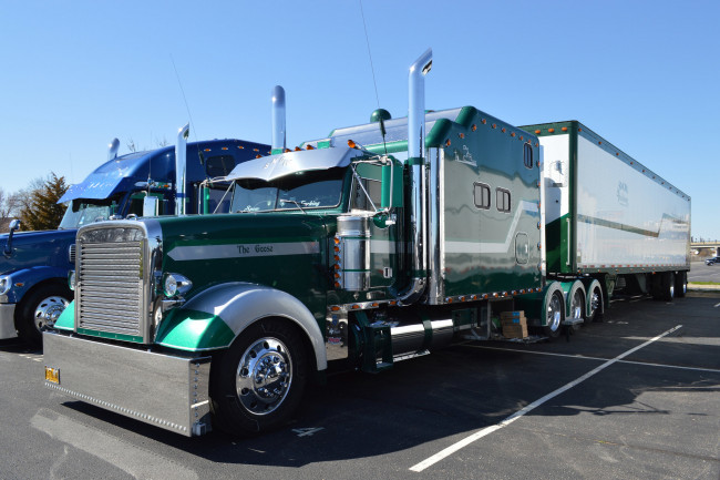 Обои картинки фото автомобили, freightliner, truck, спальник, фура