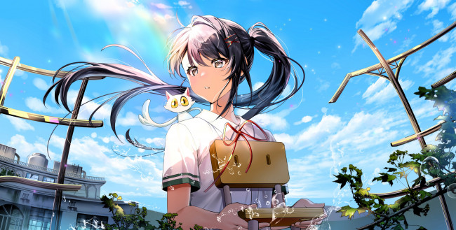 Обои картинки фото аниме, город,  улицы,  интерьер,  здания, девочка, кот, улица