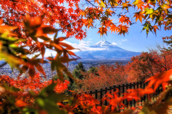 обоя города, - пейзажи, город, гора, фудзияма, панорама, деревья, осень, забор, клен