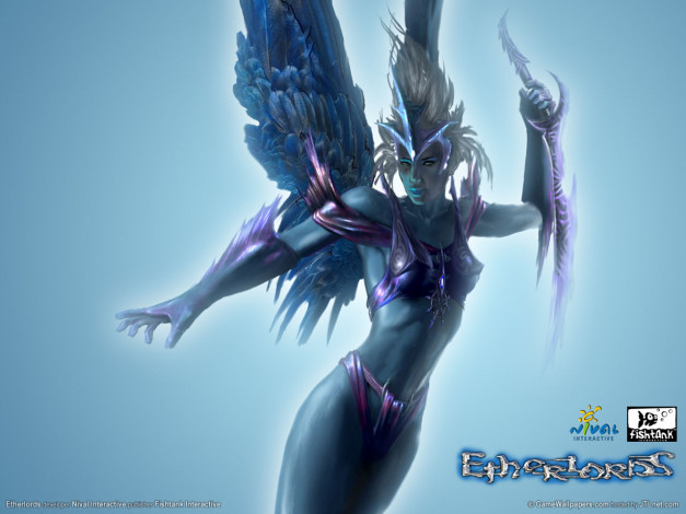 Обои картинки фото видео, игры, etherlords