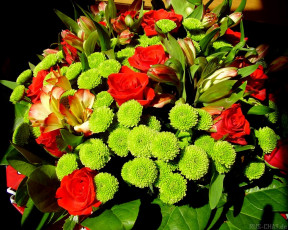 Картинка цветы букеты композиции