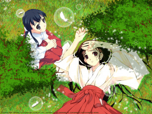 Картинка аниме silvery white