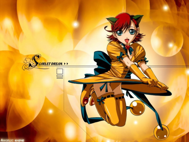 Обои картинки фото аниме, animals