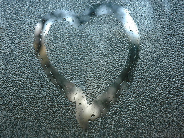 Обои картинки фото разное