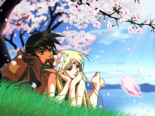 Картинка аниме lodoss