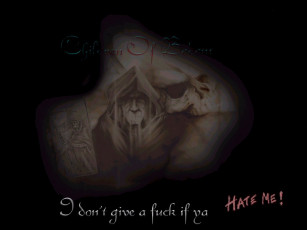 Картинка cob10 музыка children of bodom