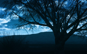 Картинка природа