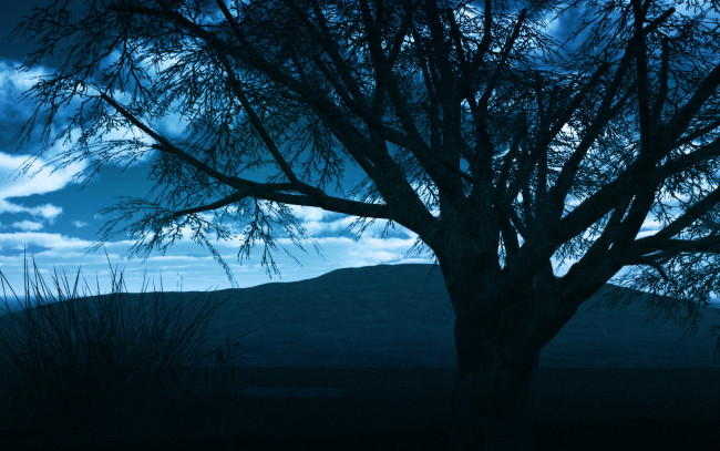 Обои картинки фото природа