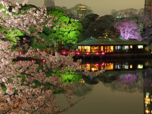 Картинка токио города Япония