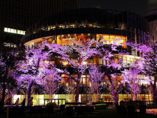 Картинка токио города Япония