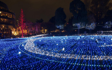 Картинка праздничные