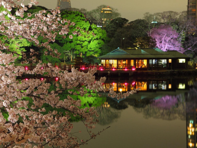 Обои картинки фото токио, города, Япония