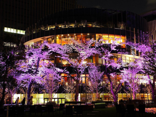 Обои картинки фото токио, города, Япония