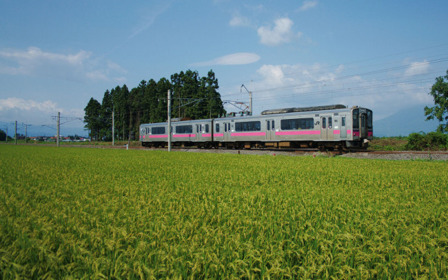 Обои картинки фото техника