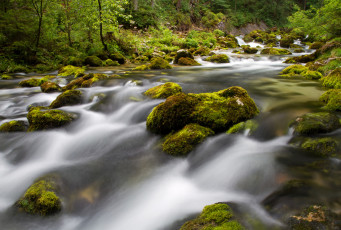 Картинка природа реки озера вода камни